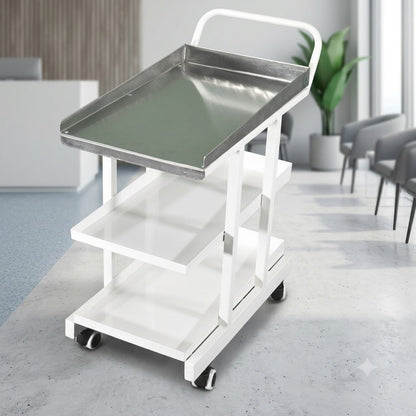 kaarya Bedside Drug Trolley With SS Top