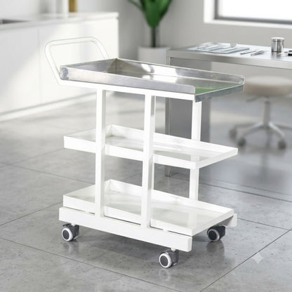 kaarya Bedside Drug Trolley With SS Top